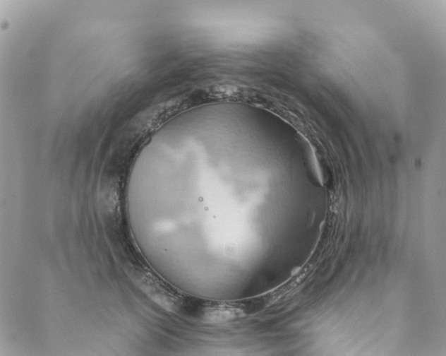 X0000089370754200707061114