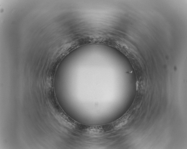 X0000089370756200707061114