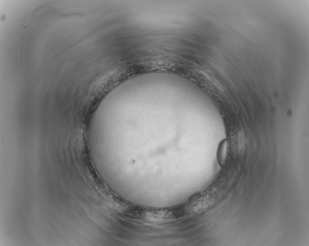 X0000089370757200707061114