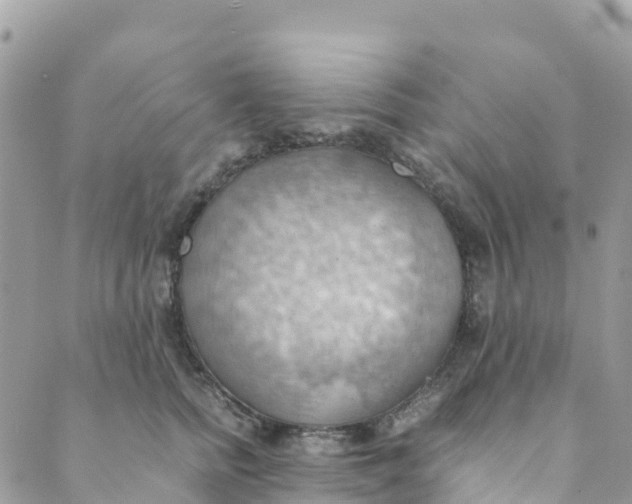 X0000089370758200707061114