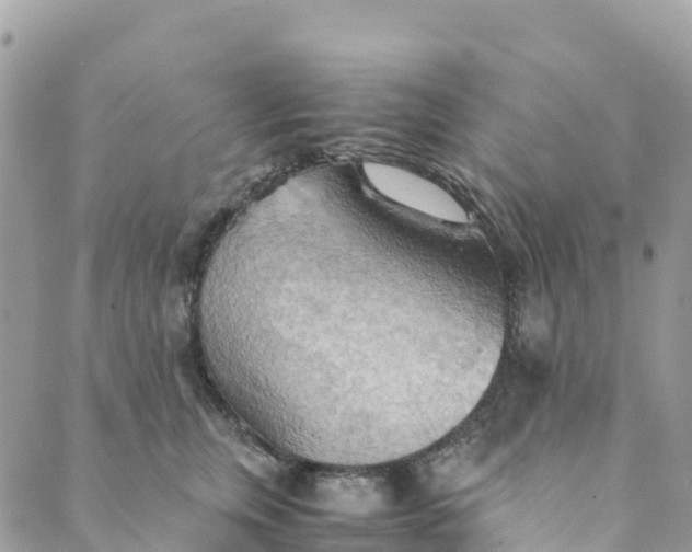 X0000089370759200707061114