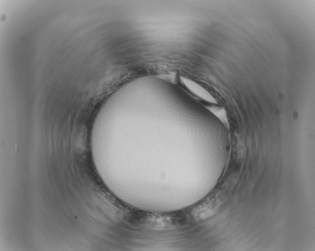 X0000089370760200707061114