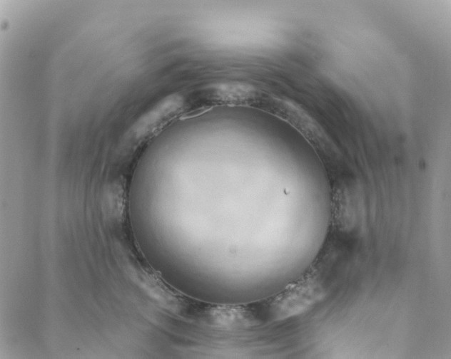 X0000089370762200707061114