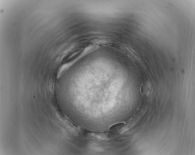 X0000089370763200707061114