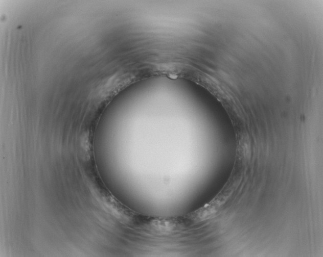 X0000089370764200707061114