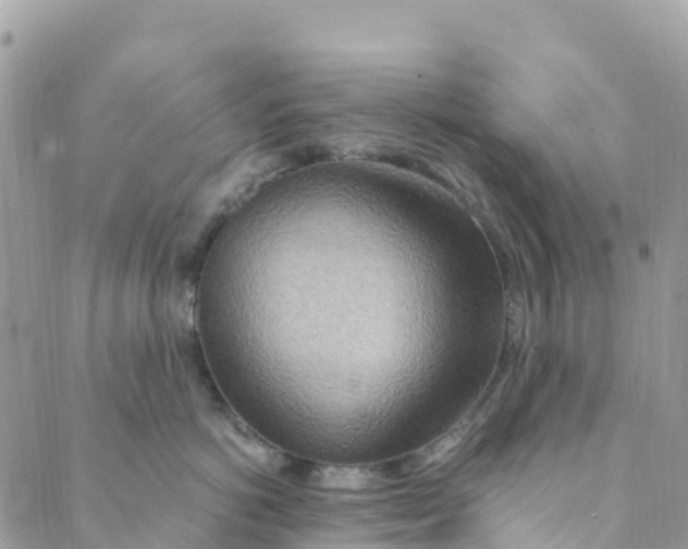 X0000089370766200707061114