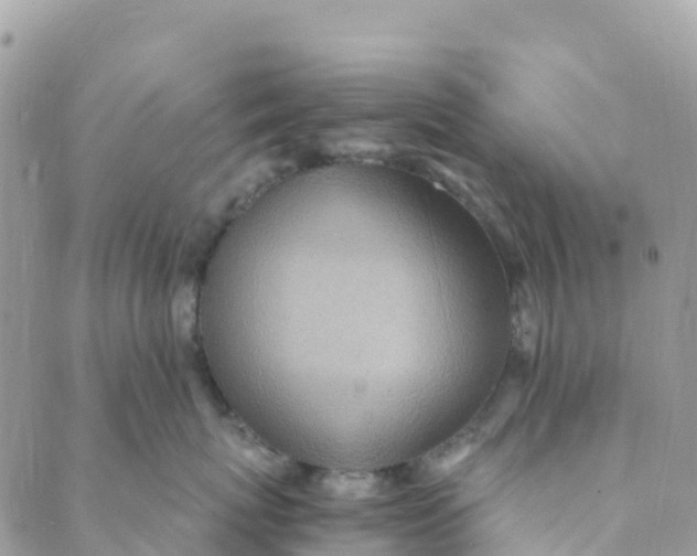 X0000089370767200707061114