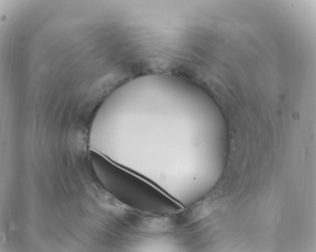 X0000089370768200707061114