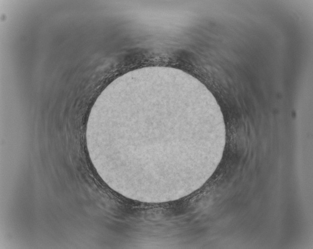 X0000089370769200707061113