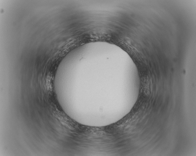 X0000089370770200707061113