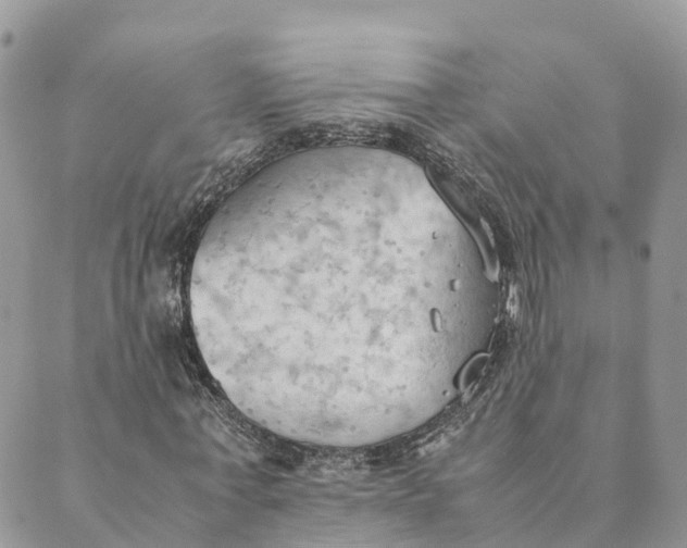 X0000089370771200707061113