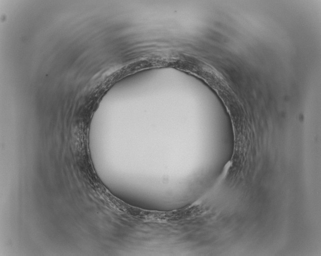 X0000089370773200707061113