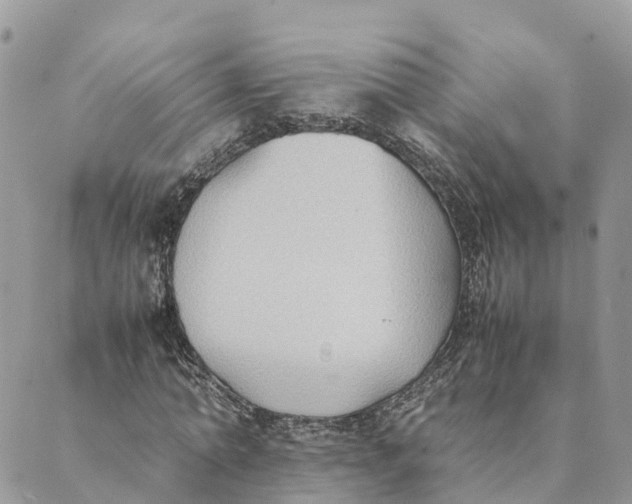 X0000089370774200707061113