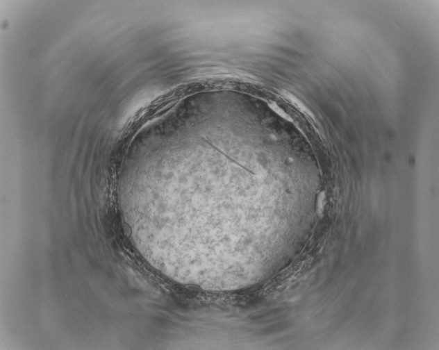 X0000089370775200707061113