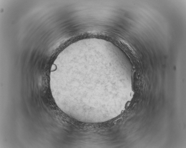 X0000089370776200707061113