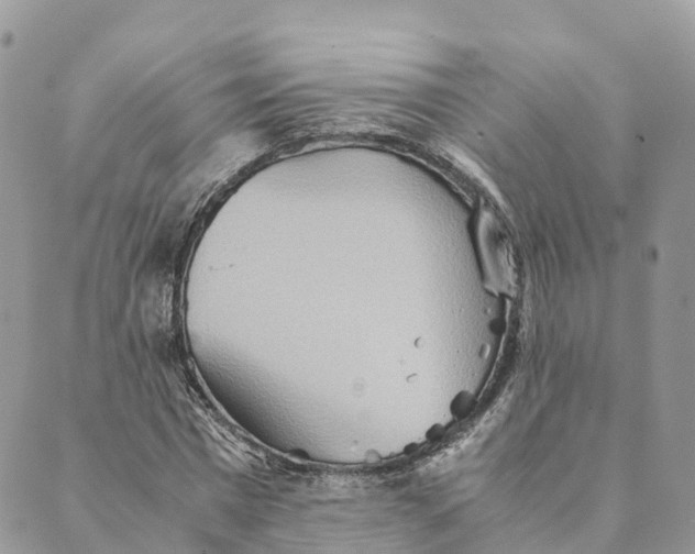 X0000089370777200707061113