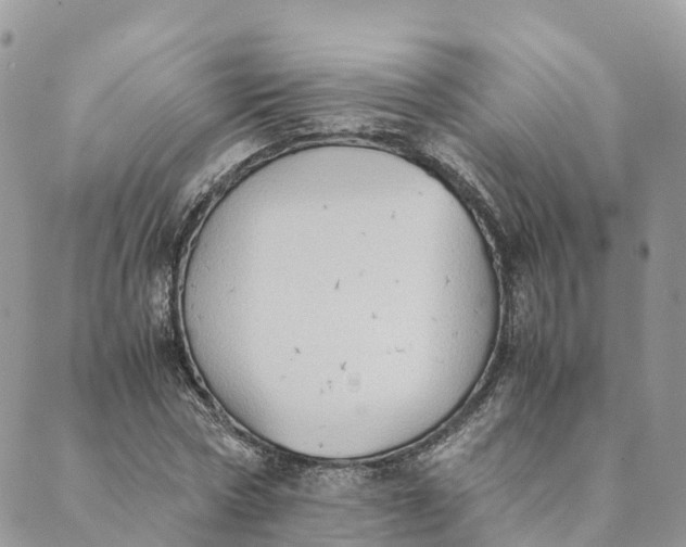 X0000089370778200707061113