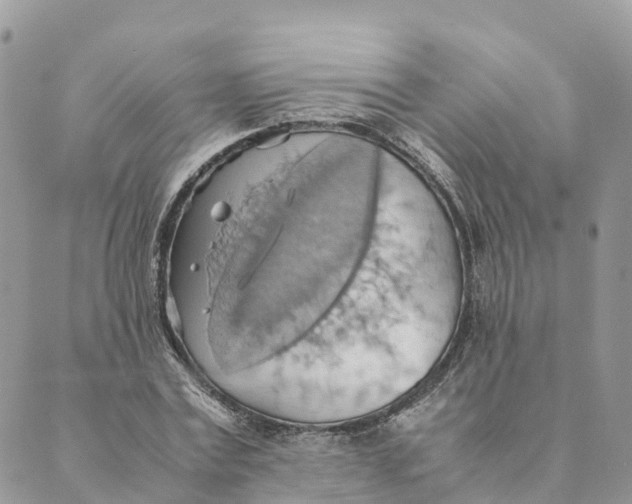 X0000089370779200707061113