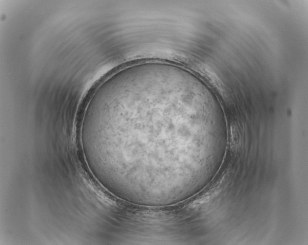 X0000089370780200707061113