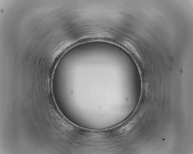 X0000089370781200707061113