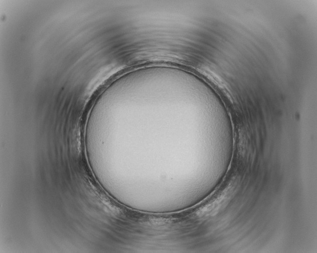 X0000089370782200707061113