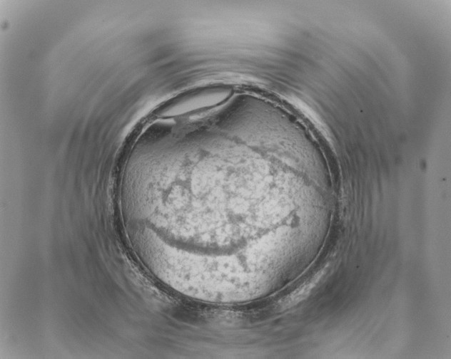 X0000089370783200707061113