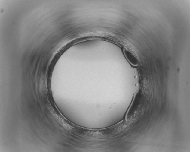 X0000089370784200707061113