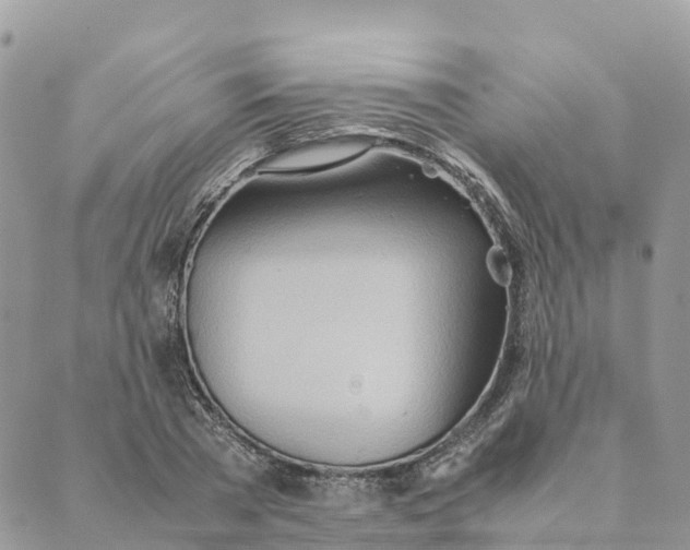 X0000089370785200707061113