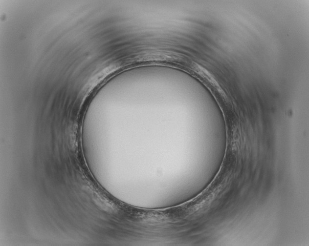 X0000089370786200707061113