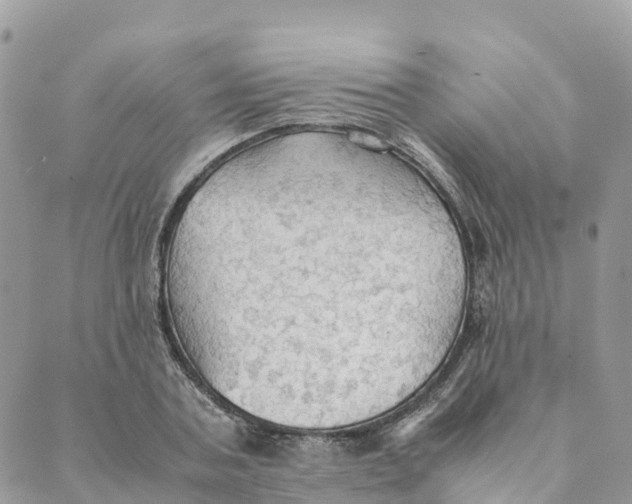 X0000089370787200707061113