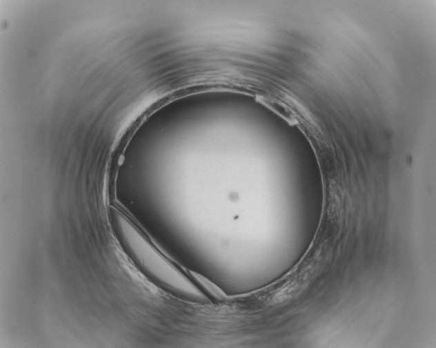 X0000089370788200707061113