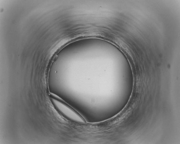 X0000089370789200707061113