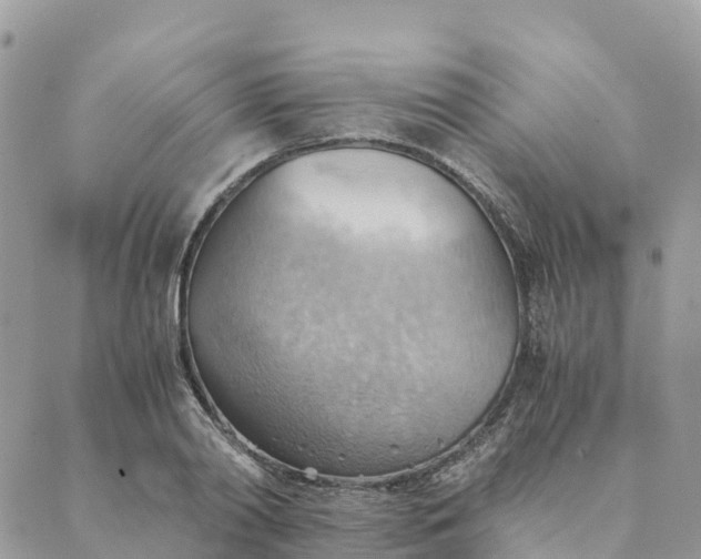 X0000089370790200707061113