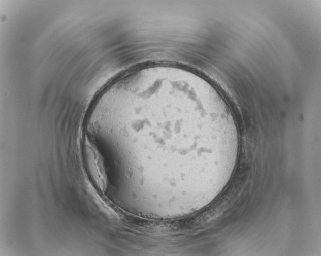 X0000089370791200707061113