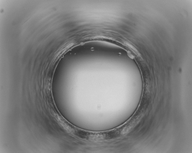 X0000089370793200707061113