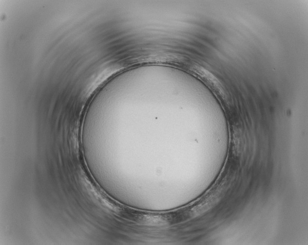 X0000089370794200707061113