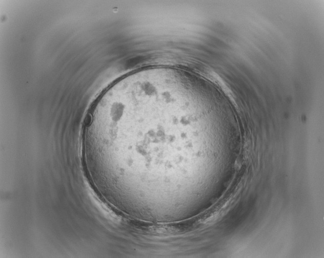 X0000089370795200707061113