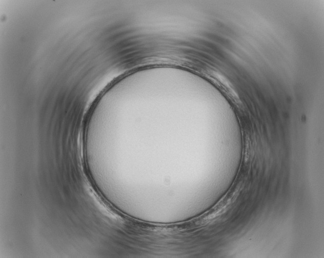 X0000089370796200707061113