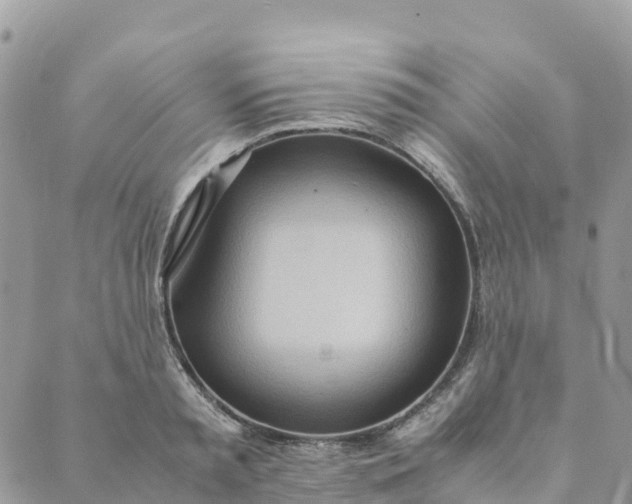 X0000089370797200707061113