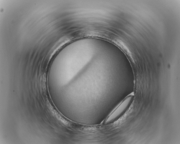 X0000089370798200707061113