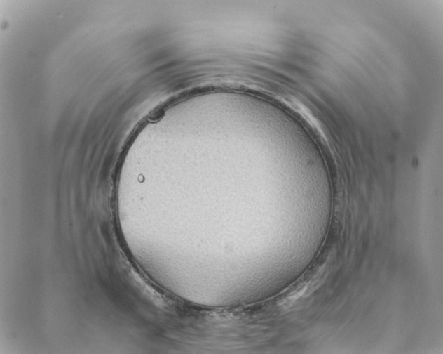 X0000089370799200707061113