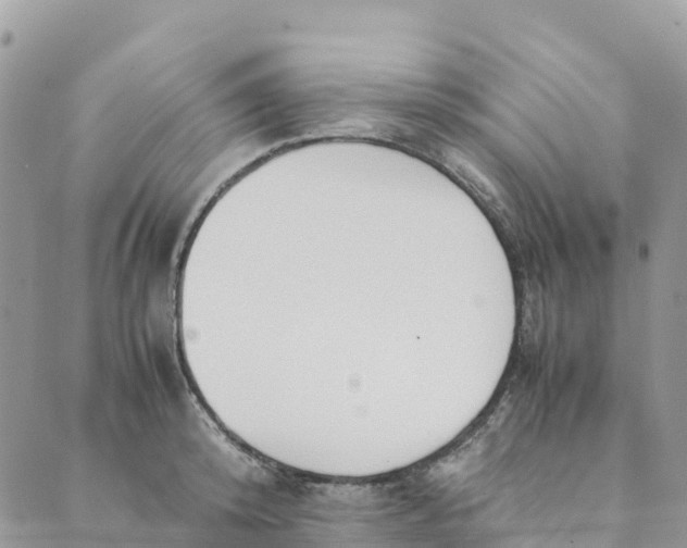 X0000089370800200707061113