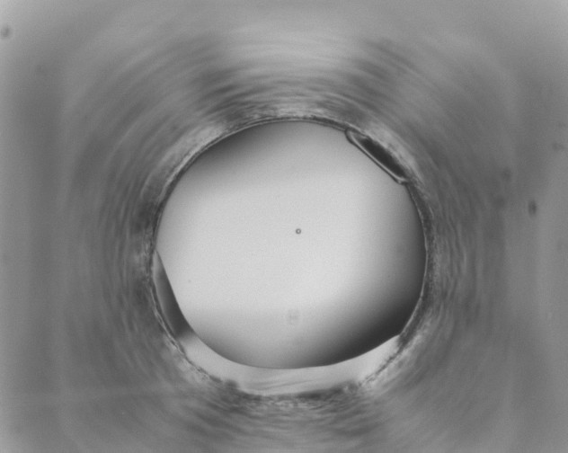 X0000089370801200707061113