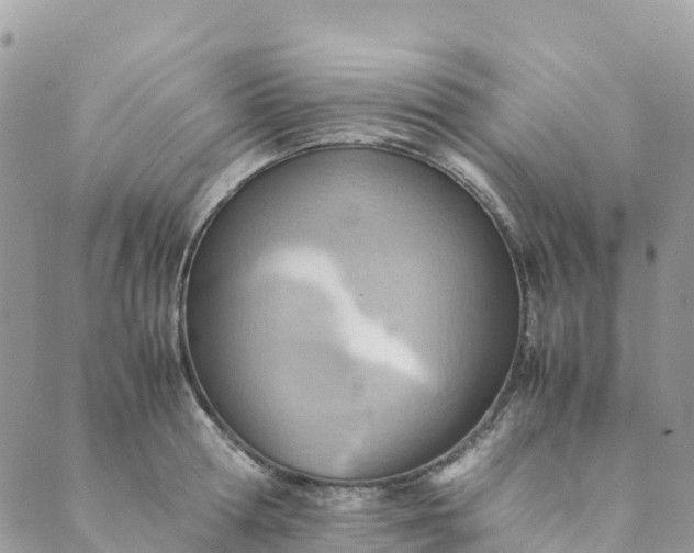 X0000089370802200707061113