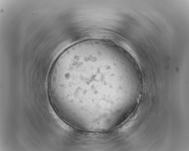 X0000089370803200707061113