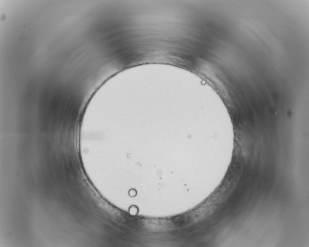 X0000089370804200707061113