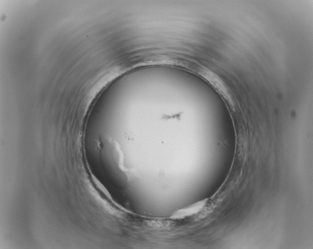 X0000089370805200707061113