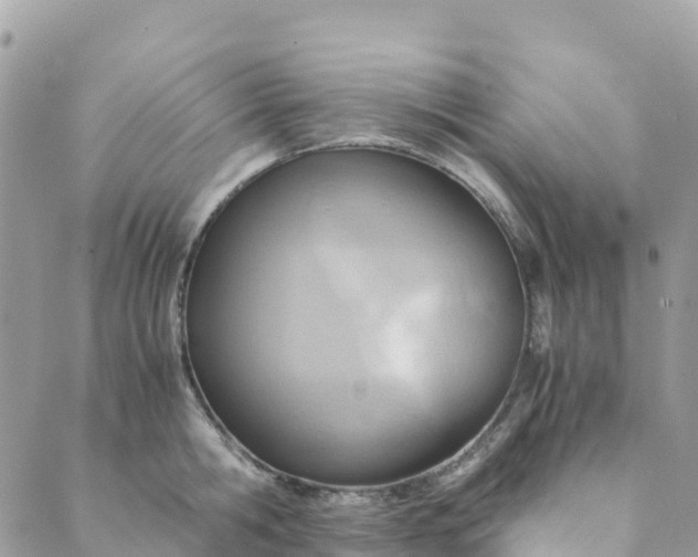 X0000089370806200707061113