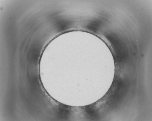 X0000089370807200707061113