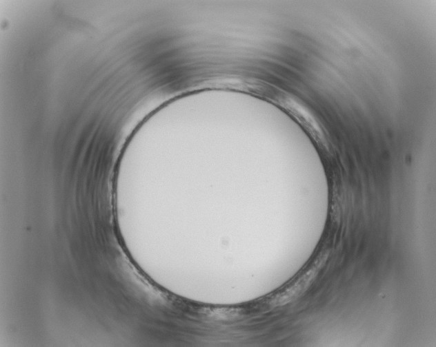 X0000089370808200707061113